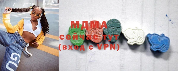 индика Ельня