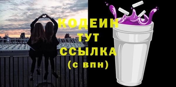 индика Ельня