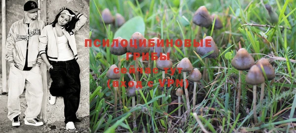 прущие крисы Елабуга