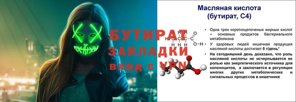индика Ельня