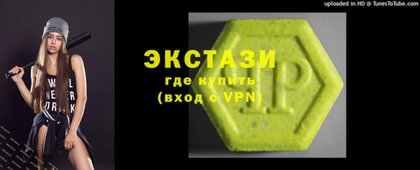 индика Ельня