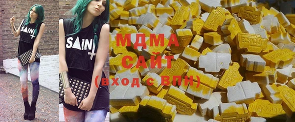 индика Ельня