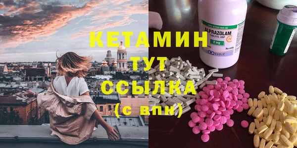 индика Ельня