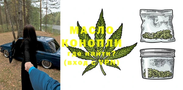 индика Ельня