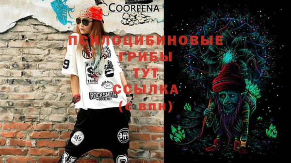 прущие крисы Елабуга