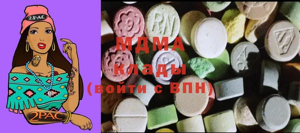 индика Ельня