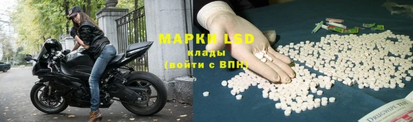прущие крисы Елабуга
