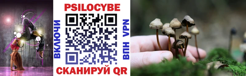 Купить где  Озёрск  Псилоцибиновые грибы GOLDEN TEACHER 